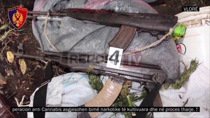 Report TV - Ja përgjimet e drogës, "Ta vjelim shalqirin, po kalbet, s'duron më"