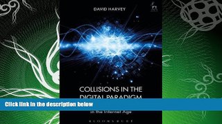 FREE DOWNLOAD  Collisions in the Digital Paradigm: Law and Rule Making in the Internet Age  BOOK