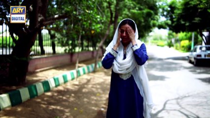 Watch Tum Milay Episode 15 on Ary Digital in High Quality 17th October 2016