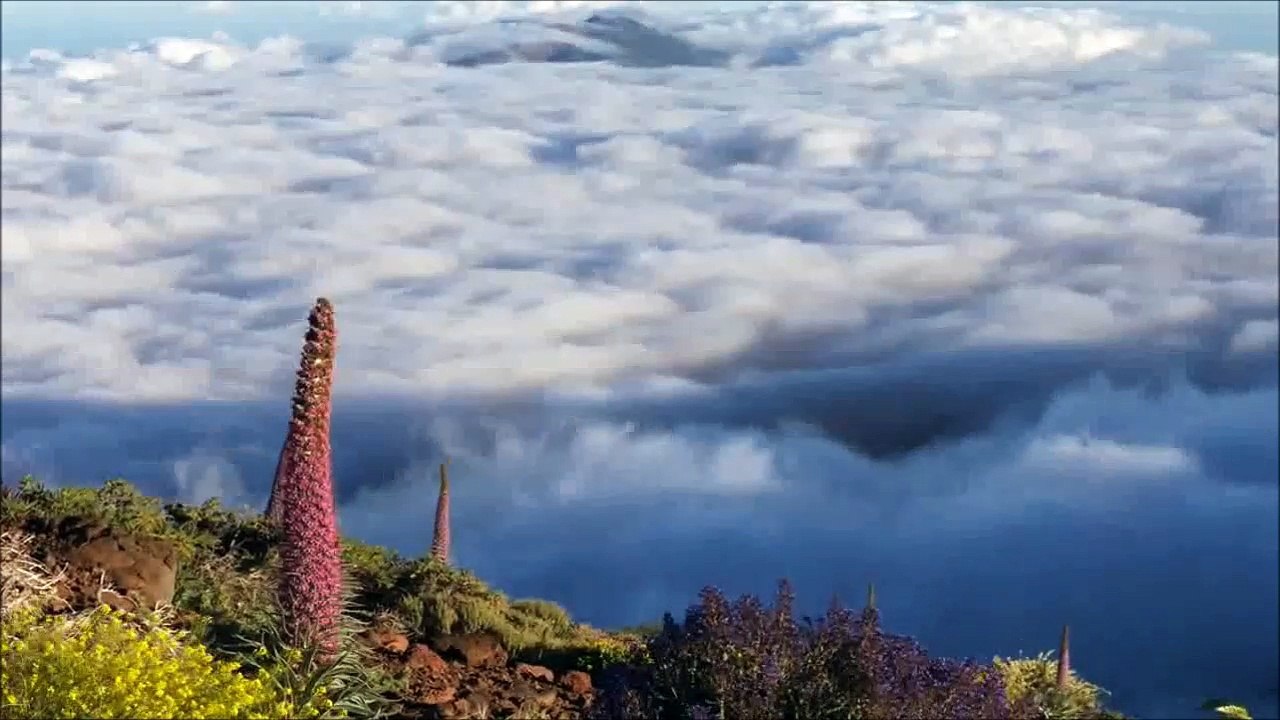 Physical Dreams — Magic Box (Original Mix)