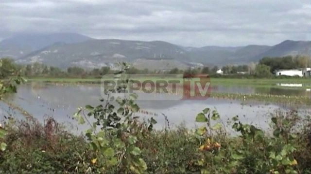Report TV - Përmbyten dhjetra hektarë tokë në Kurbin