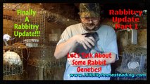 Rabbits - Overdue Rabbitry Update 10-9-2016 Baby Bunnies and Discussing Rabbit  Genetics!.mp4