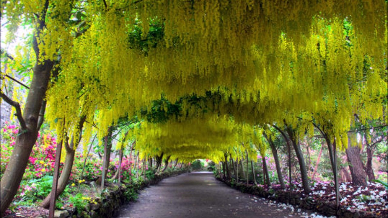 Louange Adoration Esperance