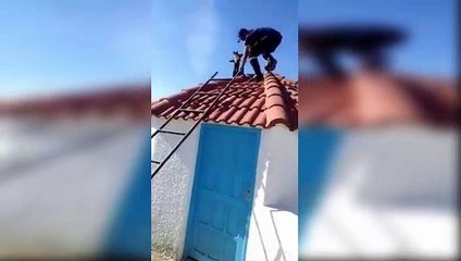 أعوان الحماية المدنية ينقذون قط علق فوق سطح أحد المنازل بباجة