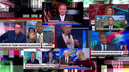 Election-free video: No Trump, no Clinton. Just a koala getting a belly rub.