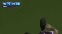 Goal Adem Ljajic 1-1 Palermo vs Torino [Serie A] 17_10_2016. -