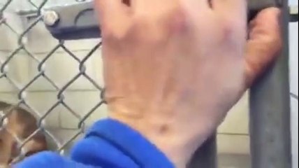 Questo cane è terrorizzato dagli umani. Ma guardatelo dopo il gesto di questa donna!