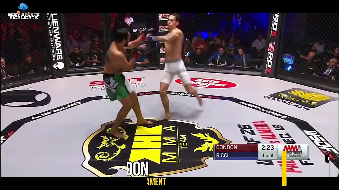 TOP 30 MMA Knockouts 2015