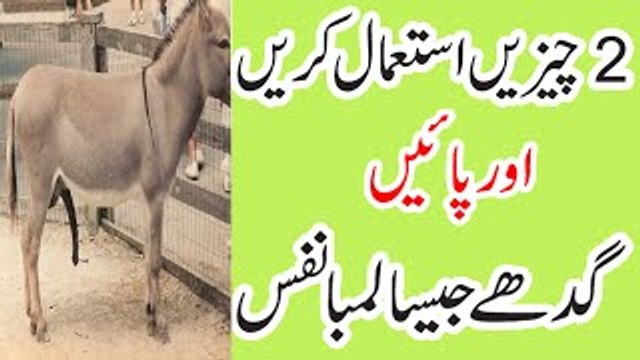 Ya 2 Chezen Khao Or Gadhy Jitna Lamba Lun Pao - Nafs ko lamba karne ka Tarika