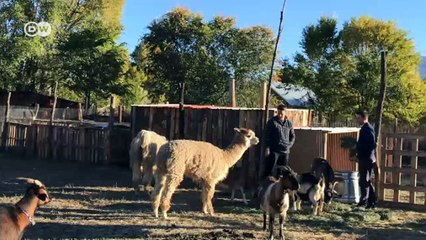 Contra la guerra con drones | Reporteros en el mundo