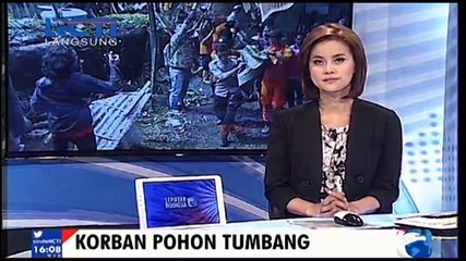 Pohon Tumbang, Seorang Balita di Bali Tewas