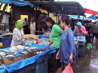 MEDAN - CUACA EKSTREM HARGA IKAN NAIK - PART 2