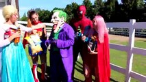 Frozen Elsa _ Spiderman CANDY HAUL! w_ Joker Maleficent Pink Spidergirl! Funny Superhero Video )