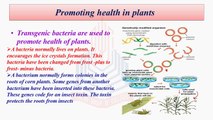 Biotechnology Products, Synthesis of Pharmaceutical Products, Organic Compounds