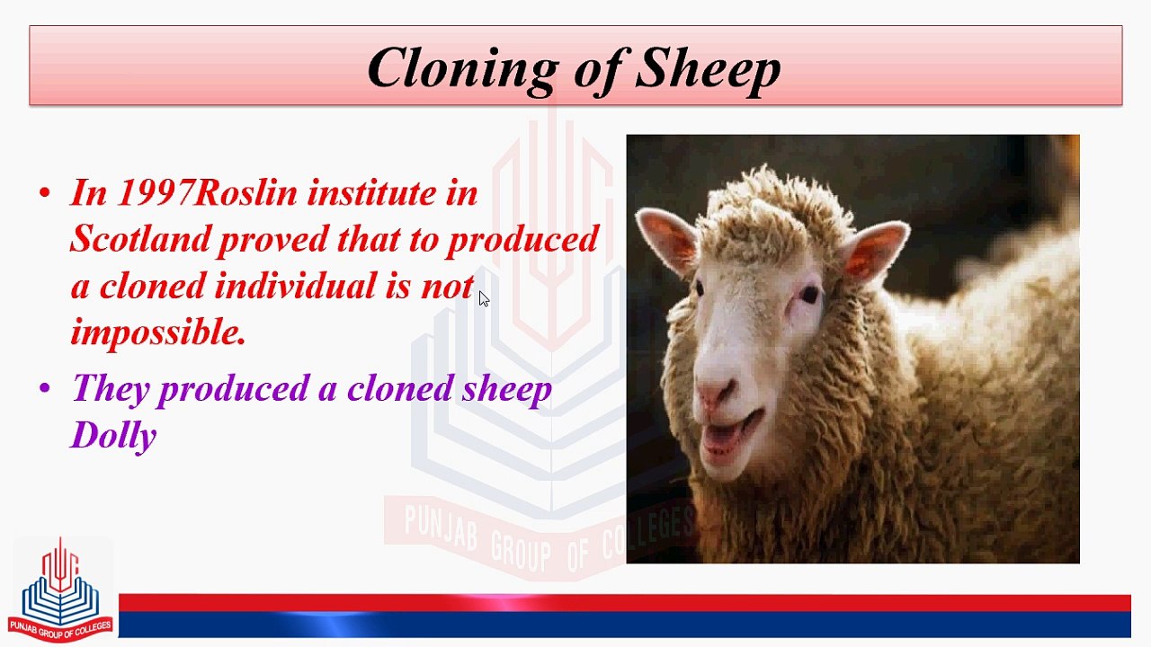 Cloning of Sheep, Cloning of Mice