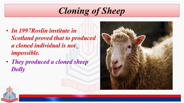 Cloning of Sheep, Cloning of Mice