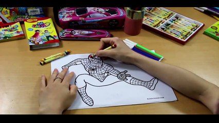 COLORS long limousine CARS in Spiderman Cartoon for children and Nursery Rhymes Songs for kids