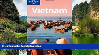 Big Deals  Lonely Planet Vietnam (Country Travel Guide)  Best Seller Books Best Seller