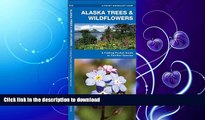 READ  Alaska Trees   Wildflowers: A Folding Pocket Guide to Familiar Species (Pocket Naturalist