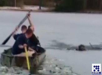 دل موہ کردینے والی ویڈیو- انسانیت ابھی زندہ ہے