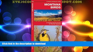 READ  Montana Birds: A Folding Pocket Guide to Familiar Species (Pocket Naturalist Guide Series)
