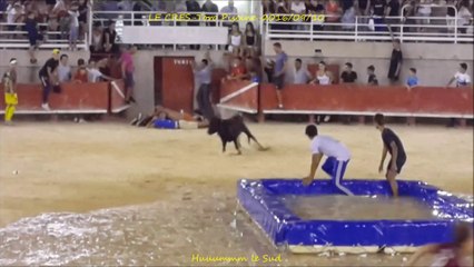 LE CRES-Toro Piscine-2016/09/10-VC-Taureaux
