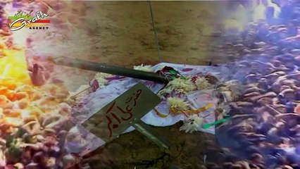 Bhai Abbas Suno _ S. Mesum Naqvi Abdullapur Meerut _ Husain Marhaba 1438 2016-17