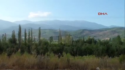 Çanakkale Kuraklık Kazdağları'ndaki Kestanelerde Verimi Düşürdü