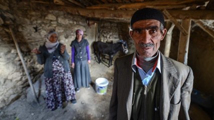 Çobanın Otuz Yıl Para Biriktirerek Aldığı 7 Büyükbaş Hayvanını Çaldılar