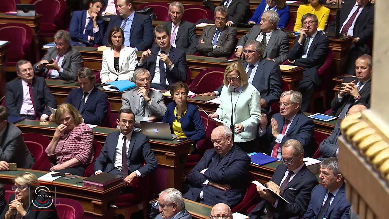 Colette Mélot : " La victoire à Mossoul entraînera une vague de retour des djihadistes en Europe ! "