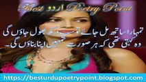 Wo Kehti Thi Ke Har Soorat...Urdu Sad Poetry