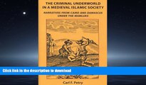PDF ONLINE The Criminal Underworld in a Medieval Islamic Society: Narratives from Cairo and