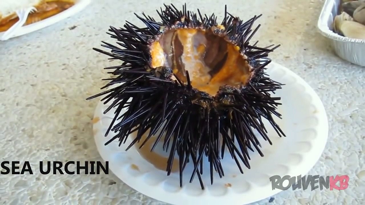 People Eating Live Animals Compilation - (Disgusting Foods)