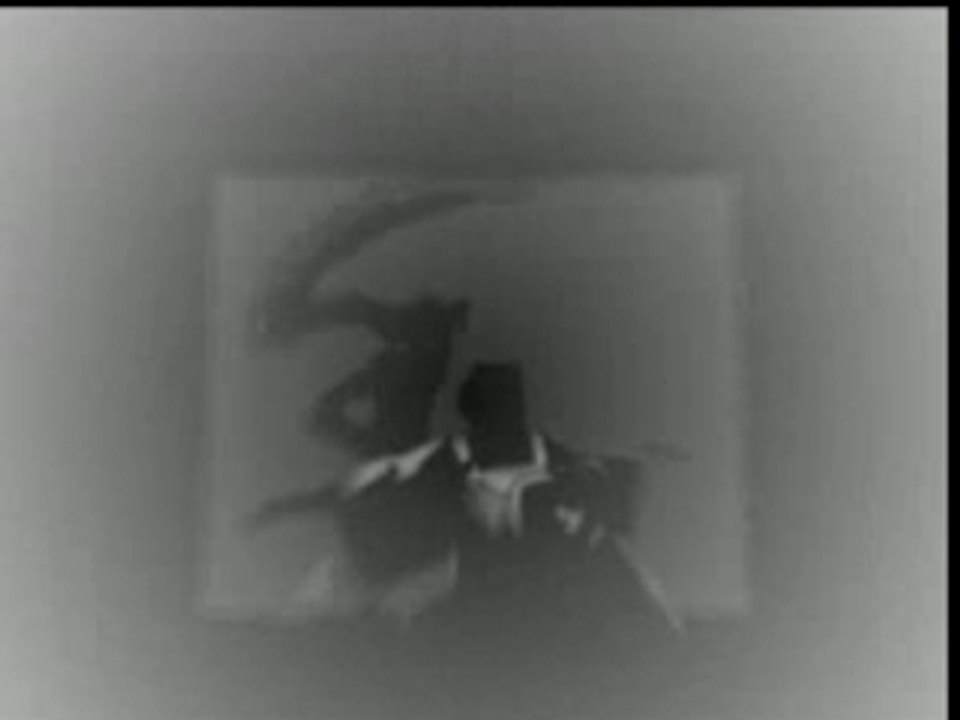 Saiyuki Aienkien - AMV