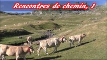 Traversée des Pyrénées - 1er EPISODE (2016)