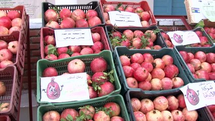 رمان منطقة تستور التونسية مفيد للصحة..وللاقتصاد