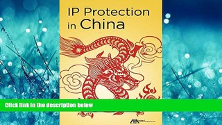 READ book  IP Protection in China  FREE BOOOK ONLINE