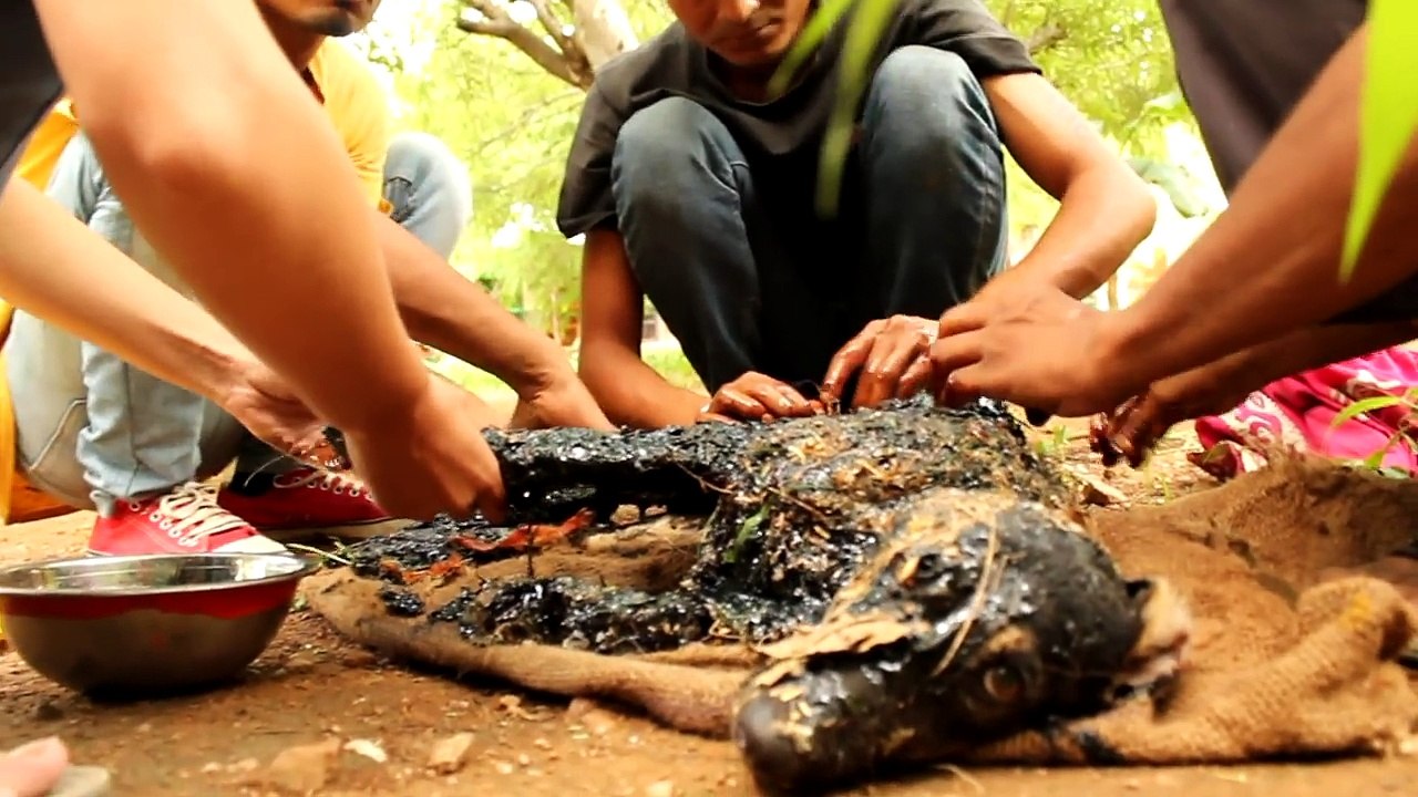 Covered in tar & unable to move, this amazing rescue saved this dog's life!