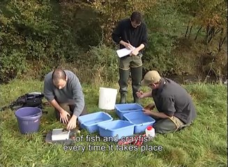 Environnemental  integration of the A89 motorway in the Massif Central (France)