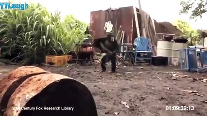 Funny videos 2016 - Stupid people doing stupid things 1