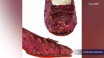 The Smithsonian Needs Help Saving Dorothy's 'Ruby Slippers'