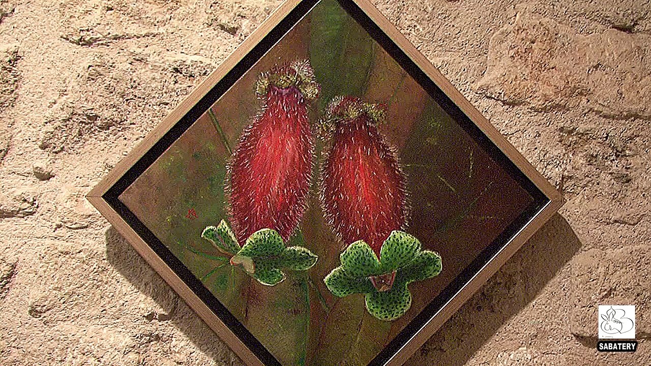 2016 - Pézenas - Expo Asagath Hôtel des barons de Lacoste