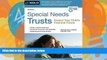 Big Deals  Special Needs Trusts: Protect Your Child s Financial Future  Full Ebooks Most Wanted