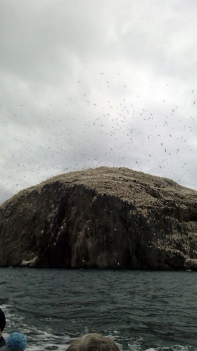 bassrock