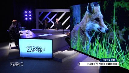 Juste Avant de Zapper - Mardi 18 octobre 2016 - Sauvegarde des renards