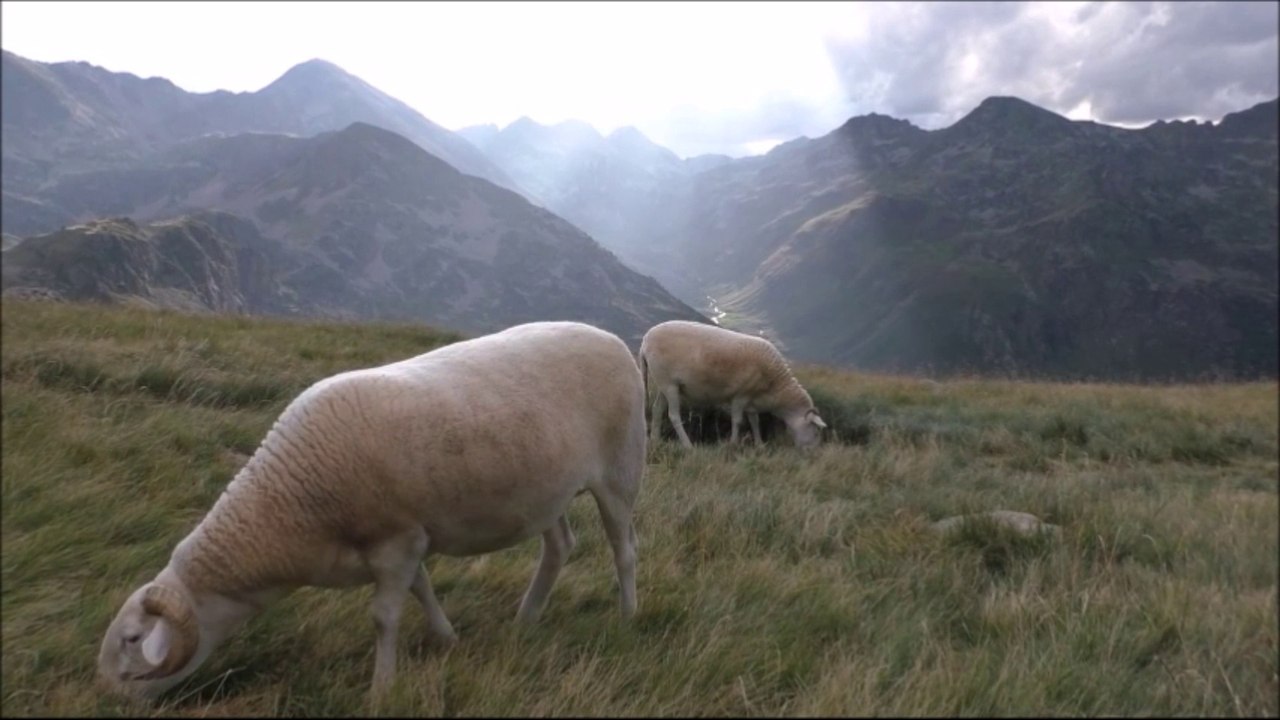Traversée des Pyrénées - 2ème EPISODE (2016)