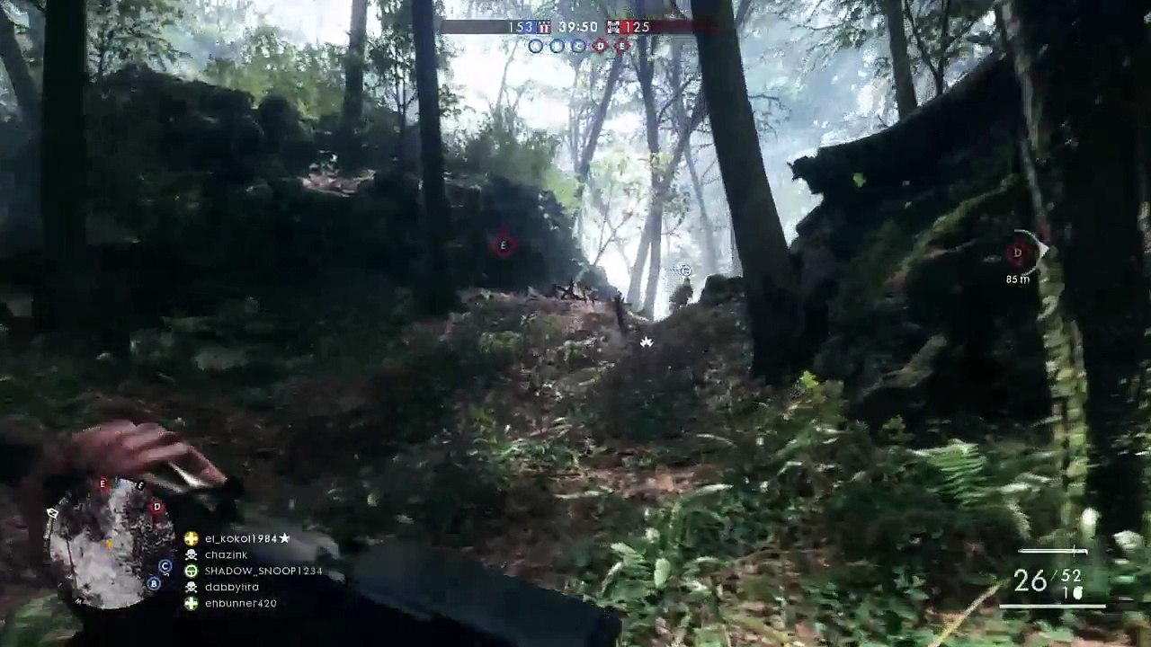BF1 (4)