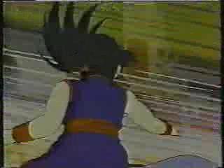 chi-chi vs goku