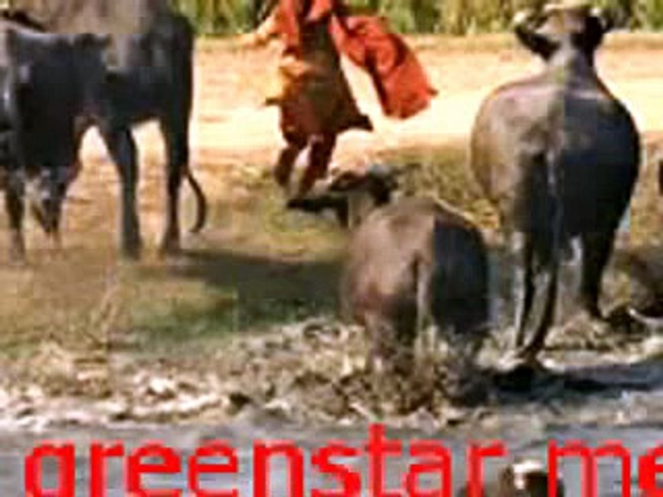 The Bestest Punjabi Gazal, Kafi,Saint bulleh shah, anayat hussain, baba fareed,-vWouX3wt6n8_WMV V9