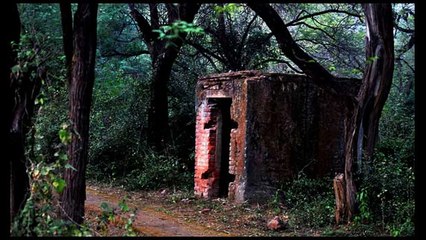 Some Haunted Places in Delhi